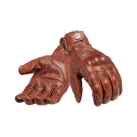 GANTS NEWTON